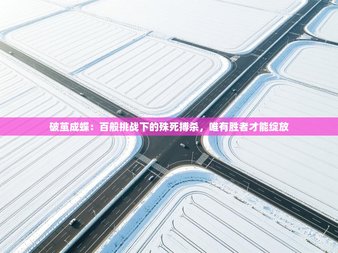 破茧成蝶：百般挑战下的殊死搏杀，唯有胜者才能绽放