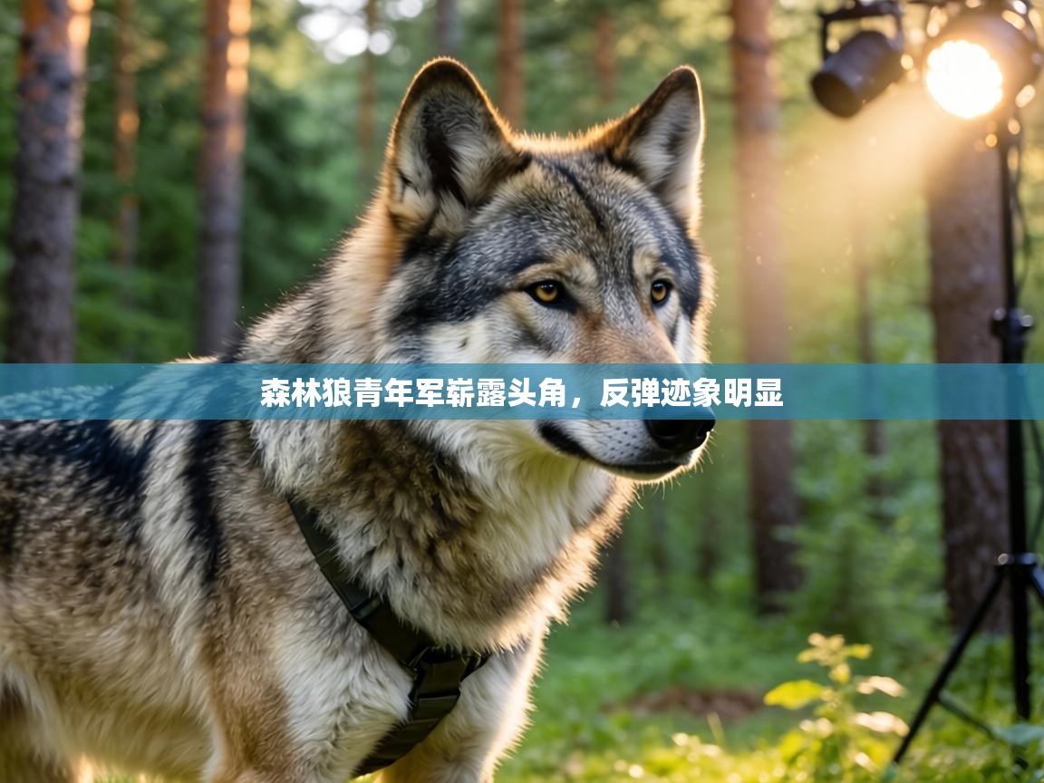 森林狼青年军崭露头角，反弹迹象明显